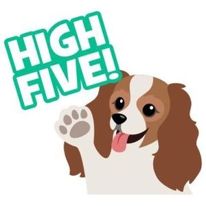 Meet your Posher, Linda